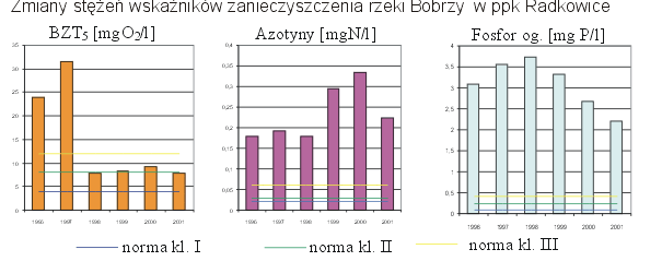 zdjecie