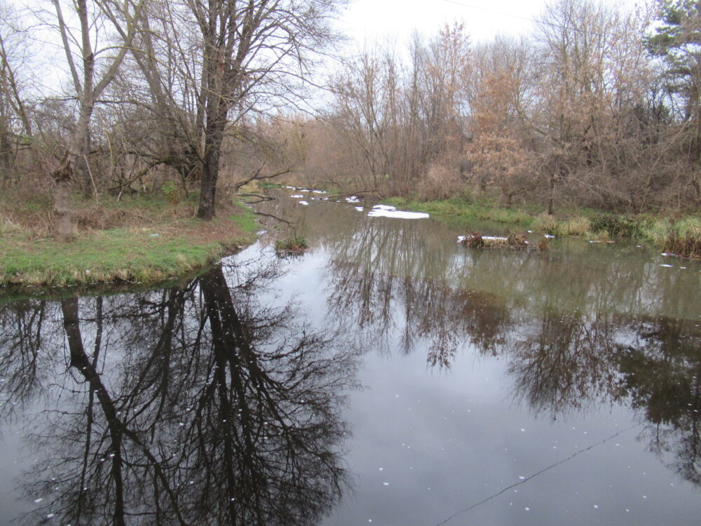 Płynąca rzeka. Po prawej i lewej stronie rzeki drzewa i krzewy bez liści na tle szarego nieba.